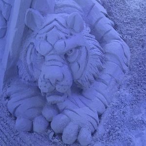 Meet your Posher, Ladonna